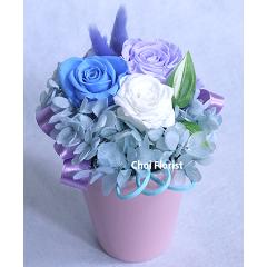 �u�[���A�p�[�v���n�v���U�[�u�h/P445
