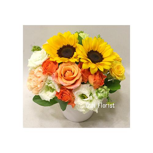 �q�}�����A�����W�^A6912