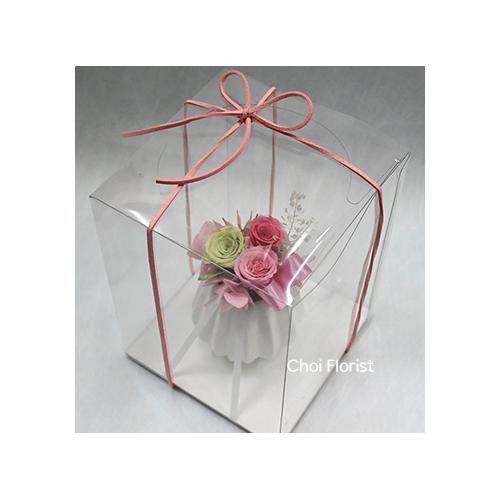 �v���U�[�u�h/���̐S(�s���N�n�j/P6013