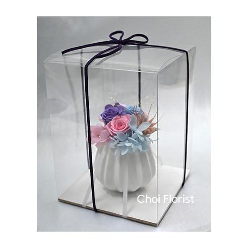�v���U�[�u�h/���̐S(�s���N�n�j/P6013