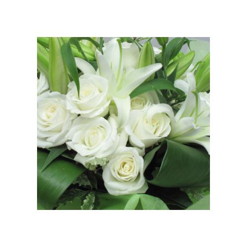 �V�g����̑��蕨(�a226�j4