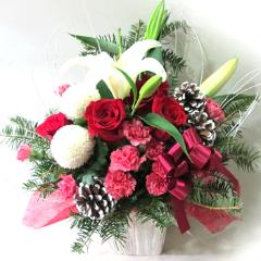 �����[�N���X�}�X�@A772
