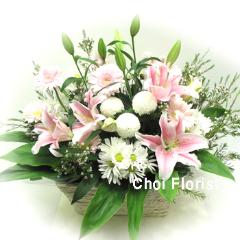 �W���s���N�̃A�����W�iA101)