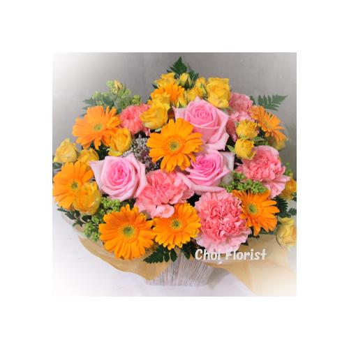 �s���N�Ɖ��F�̃A���T���u���iA713�j