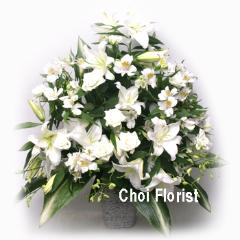�z���C�g�A�����W�iA100�j