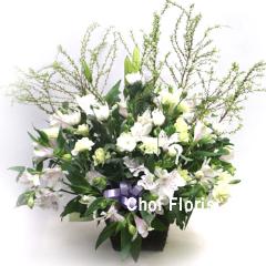 �������A�����W�iA169)
