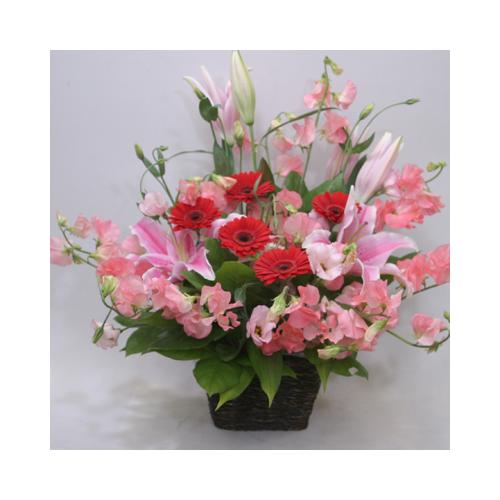 �X�C�[�g�s�A�����W�iA-119)