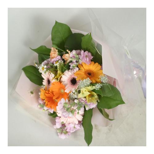 �K�[�x���̉ԑ�(B-111)2