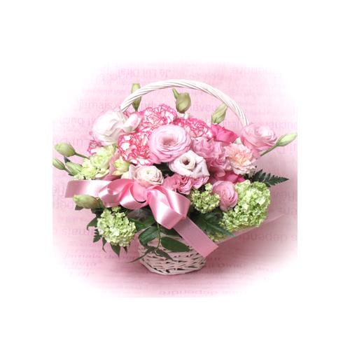 �s���N�n�ăA�����W/A565