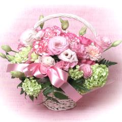 �s���N�n�ăA�����W/A565