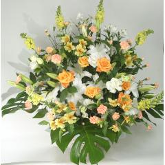 ���F�ƃI�����W�F�̃A�����W�iA-140�j