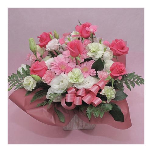 �s���N�n�A�����W�@/A237