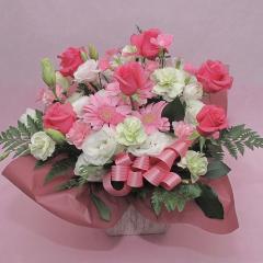 �s���N�n�A�����W�@/A237