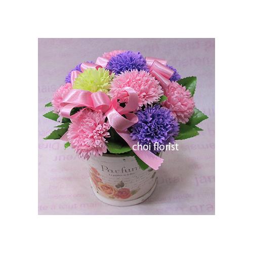 ���ӂ̐S�@�s���N�n�J�[�l�[�V�����\�[�v/sf083