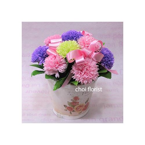 ���ӂ̐S�@�s���N�n�J�[�l�[�V�����\�[�v/sf0832