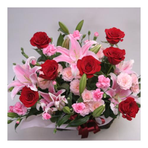 �����̉؂₩�ȃA�����W�iA163�j3