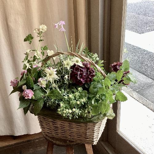 �����y���߂鑡�蕨�@�c�̊񂹐A���o�X�P�b�g3