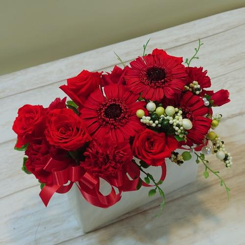 �K�[�x���̃v���U�[�u�h�t�����[������������I�X�X��!!�A�����W�����g�u���v5