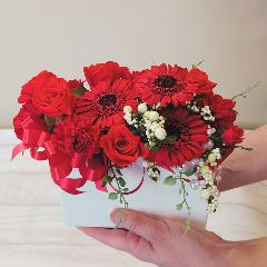 �K�[�x���̃v���U�[�u�h�t�����[������������I�X�X��!!�A�����W�����g�u���v
