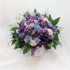 �C�x���g�E�R���T�[�g�ւ̃v���[���g�ɃI�X�X���u�M�����Ɓu�o�C�I���b�g�A�����W�����g�v�v