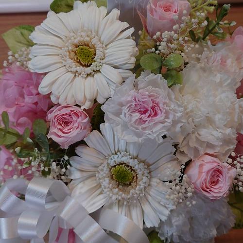 �D�����F�����̂������v���U�[�u�h�t�����[�A�����W�����g2