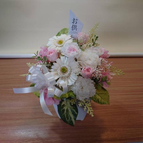 �D�����F�����̂������v���U�[�u�h�t�����[�A�����W�����g5