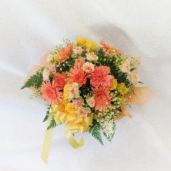 ���c���J���t���I�����W�A�����W�����g���c��