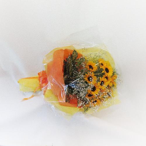 ���\��E���t��ɂ��I�X�X�������Ђ܂�������������ԑ��usunflower�v