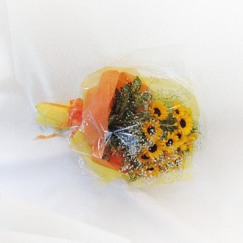 ���\��E���t��ɂ��I�X�X�������Ђ܂�������������ԑ��usunflower�v2