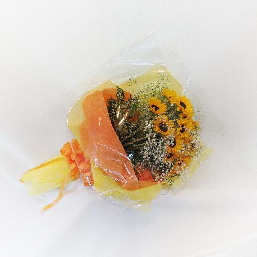 ���\��E���t��ɂ��I�X�X�������Ђ܂�������������ԑ��usunflower�v3