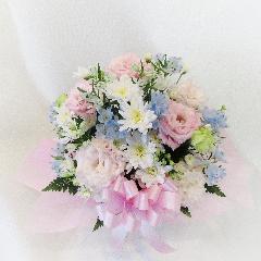 �y�b�g�����̂������ɂ��ǂ����u�X�v���[�}������������������A�����W�����g/�s���N�v