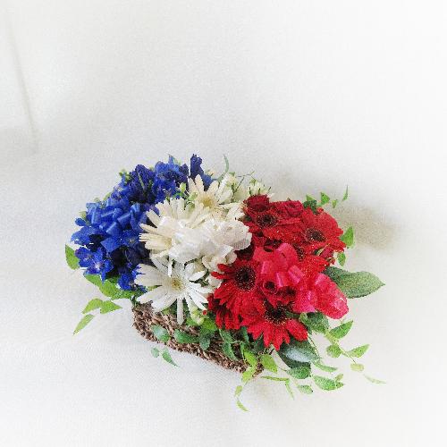 �g���R���[���J���[�A�����W�����g