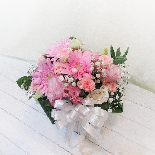 �M���b�g�����s���N�F�̃A�����W�����g�u�v���o�v�y�b�g�����ւ̂�������4