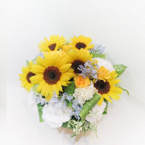 �M���b�g�����Ђ܂��A�����W�����g(�Č��菤�i)2