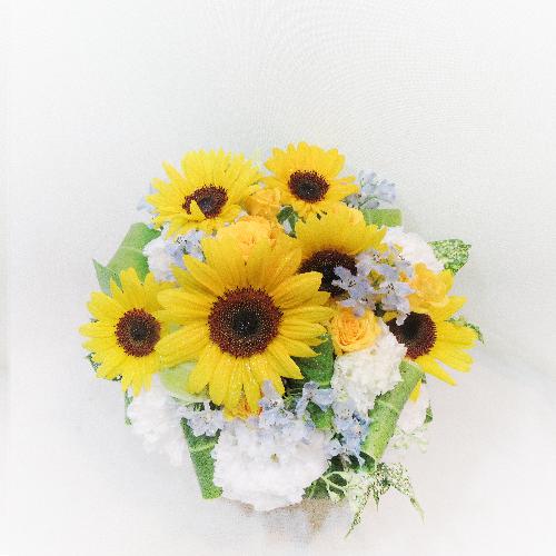 �M���b�g�����Ђ܂��A�����W�����g(�Č��菤�i)3