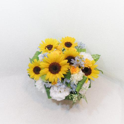 �M���b�g�����Ђ܂��A�����W�����g(�Č��菤�i)4