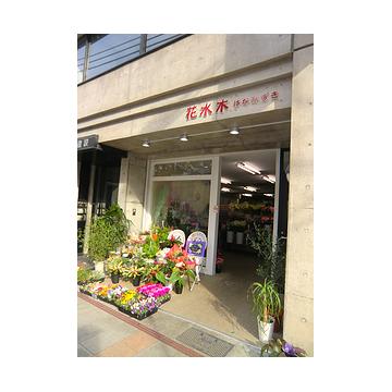 �X�܊O�ω摜