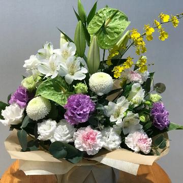 ���̑��摜