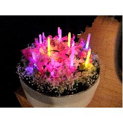 �t�����[�P�[�L�@�L�����h���t