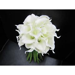 �E�F�f�B���O�u�[�P�@�i�`������