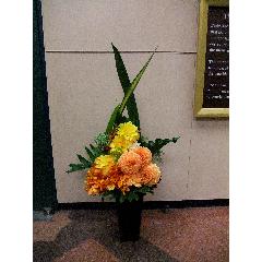 �G�b�N�X�I�@�A�����W