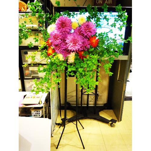 �e���r�f������X�^���h