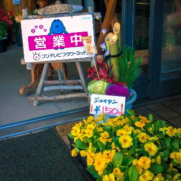 �X�ܓ��ω摜