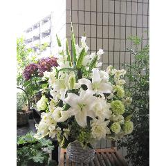 blenc et blanche �i�u�����E�u�����V���j