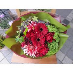 Bonne Chance�I�i�{���k�E�`�����X�j