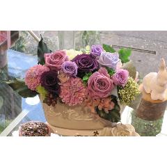 �p�X�e���E���[���ipastel mauve�j
