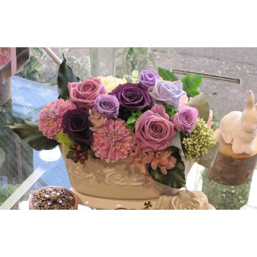 �p�X�e���E���[���ipastel mauve�j
