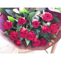�P�Q�@�q�d�c�@�q�n�r�d�r�u���ӁE�����E�K���E�M���E��]�E����E��M�E�^���E���h�E�h���E�w�́E�i���v�̏ے�