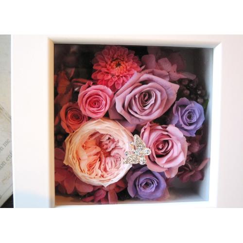 Quadrato �i�N�A�h���[�g�jpink purple2
