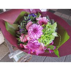 La Belle Fille�i���E�x���E�t�B�[���j